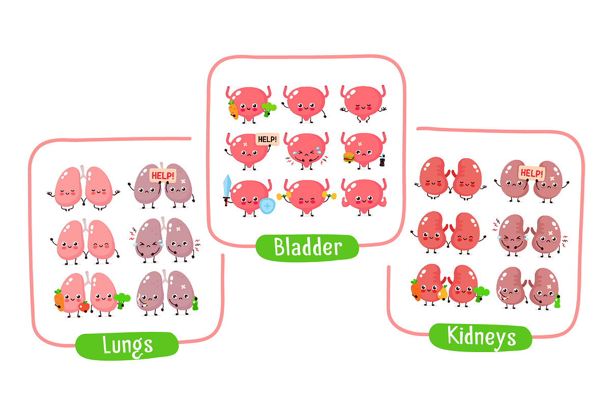 Cute human organs set, a Food Illustration by Slavko Kahovsky (Photo 9 of 9)
