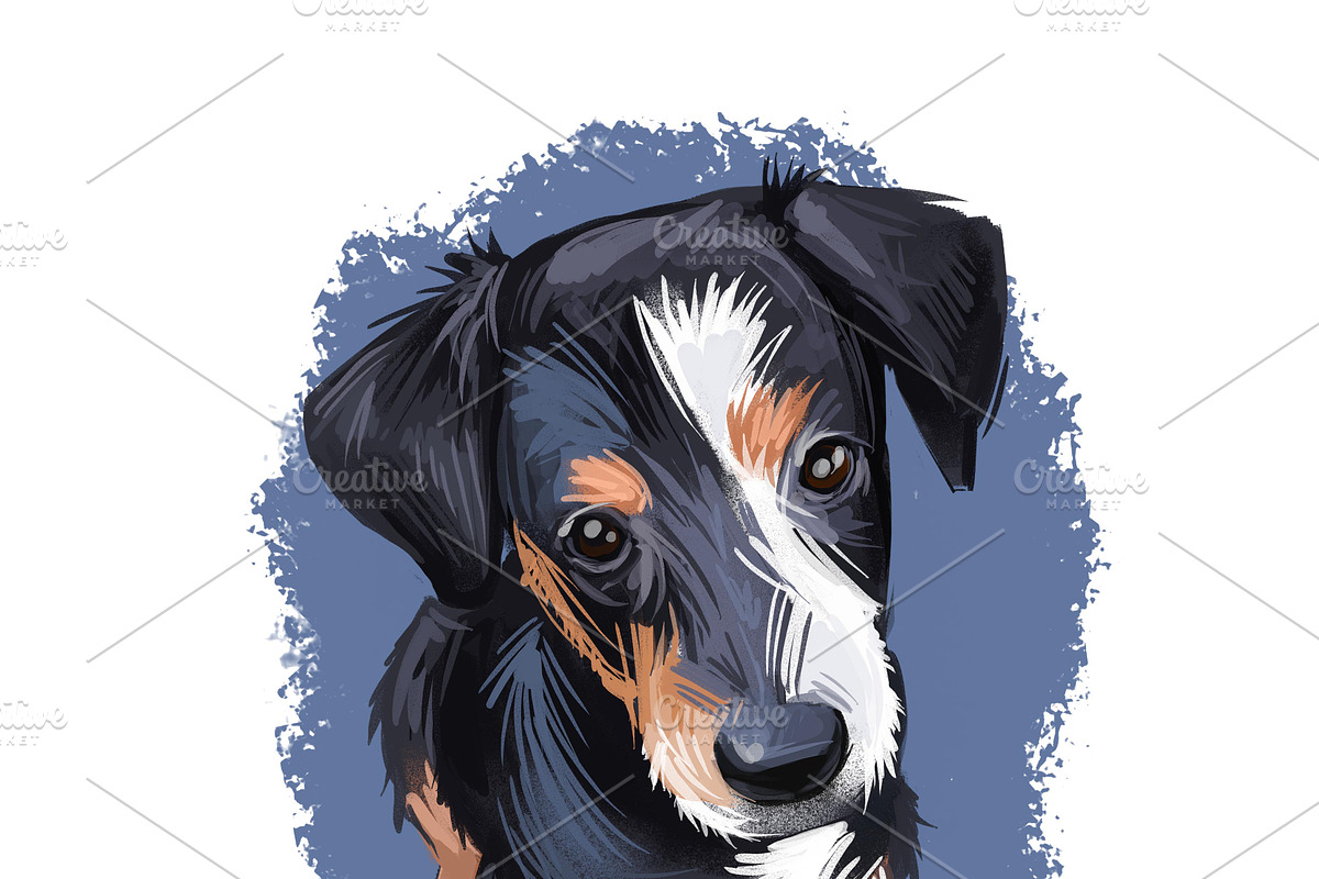 Puppies Dog Breeds Big Bundle 135Pcs, an Animal Illustration by Dneprstock (Photo 47 of 68)
