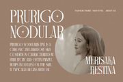 Camiro Elegant Serif Font Typeface, a Serif Font by Graphicxell (Thumbnail 3 of 9)