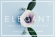 The Elegant Sans Serif Font Bundle, a Sans Serif Font by Zone 6 (Thumbnail 1 of 11)