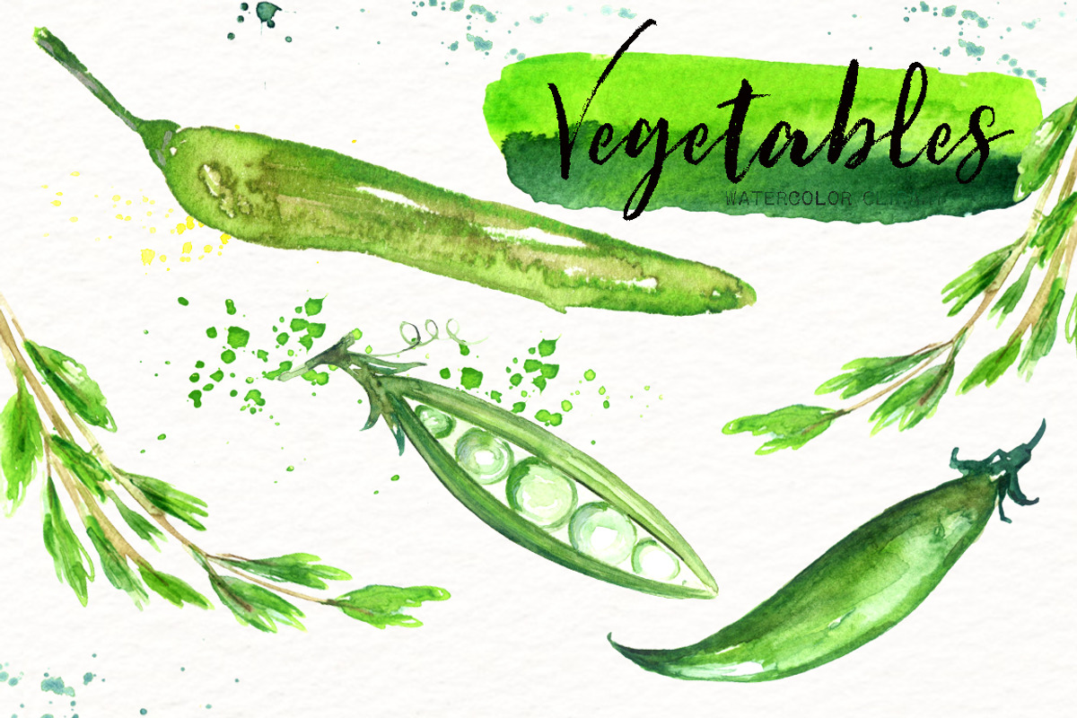 Vegetables. Watercolor clipart., an Illustration by LABFcreations (Photo 9 of 11)