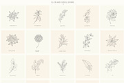 Birth-Flowers. Trendy Plants, Logos, a Seasonal Illustration by Designwork (Thumbnail 8 of 21)