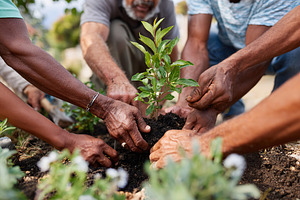 Community members engage in planting trees in a garden during a sunny afternoon, a Photo by AlyaAnd