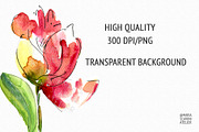 Tulip Watercolor Clipart, an Illustration by MariaScaroniAtelier (Thumbnail 3 of 4)