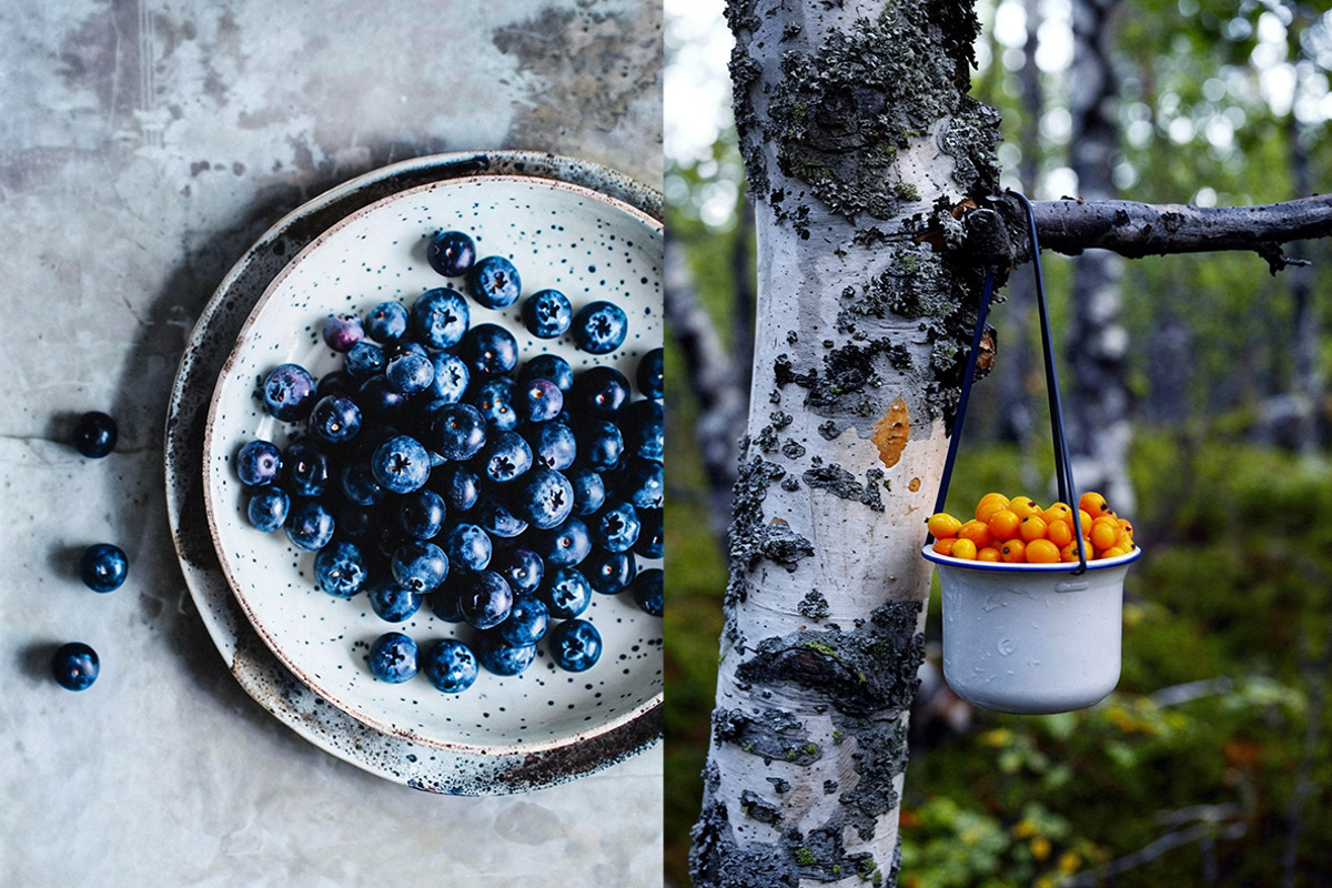 278 Nordic Lifestyle images, a Nature Photo by Handmadefont (Photo 2 of 25)