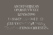 Gaistro Display Font, a Serif Font by Maryamtype Studio (Thumbnail 7 of 8)