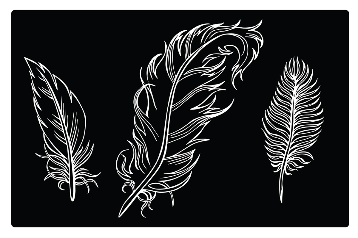 Silhouettes of different feathers, an Illustration by risovanya (Photo 2 of 3)
