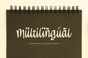 Brientsa Classic Script, a Handwritten Font by Portocraft (Thumbnail 6 of 10)