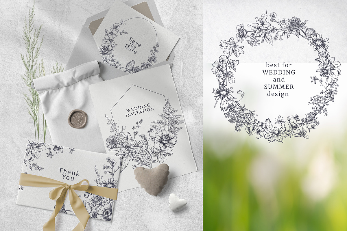 Wildflower Meadow Vector Set, a Decorative Illustration by Molly art (Photo 6 of 12)