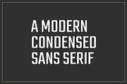 Industrial Font Collection, a Sans Serif Font by Grid Based Design (Thumbnail 2 of 8)