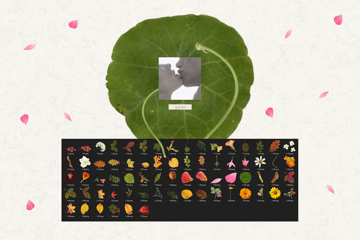 Tender Flora: Botanical Scrapbook, an Object Graphic by Feelsoul (Photo 10 of 10)