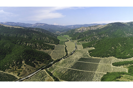 Aerial view of farm fields, a Nature Photo by Media Whale Stock