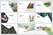 NATURE Presentation Powerpoint, a Presentation Template by SlideBester (Thumbnail 8 of 16)