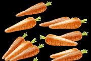 Carrot watercolor illustrations, a Food Illustration by wedraw (Thumbnail 3 of 3)