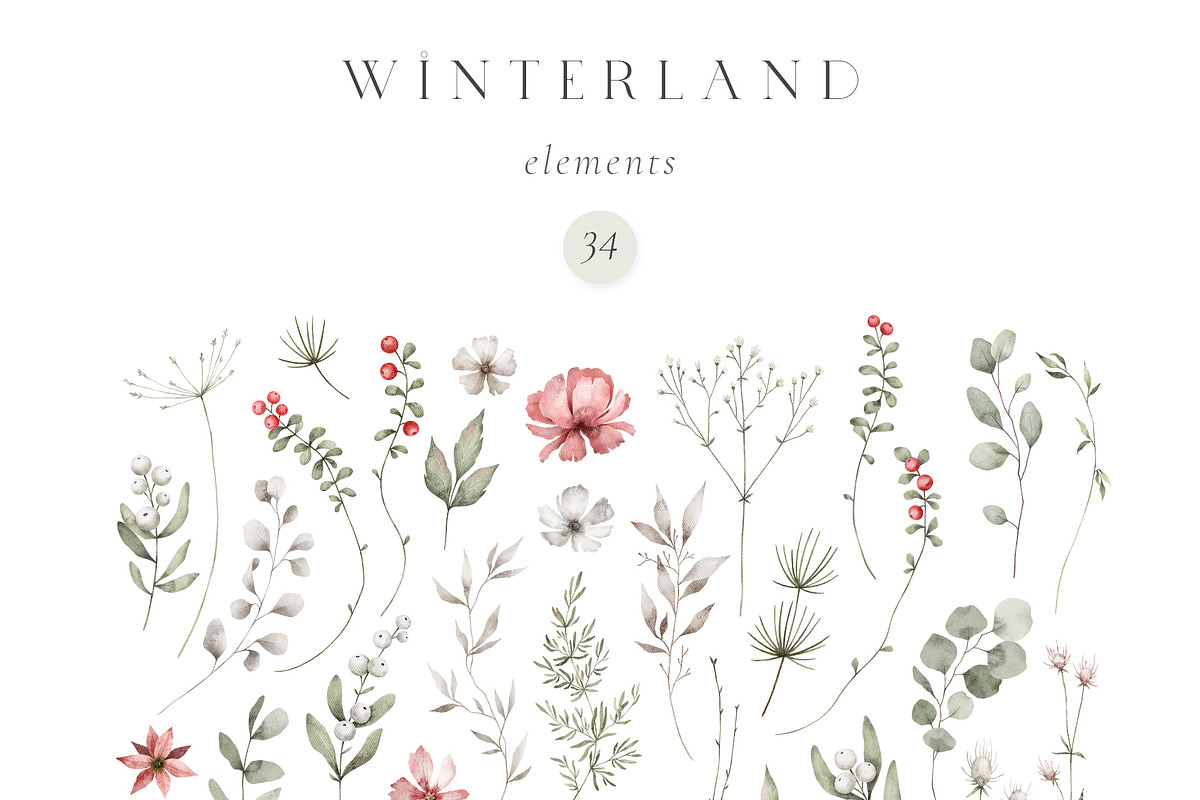Watercolor Winter. Christmas florals, an Illustration by Kreker Kate (Photo 9 of 10)