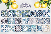 Sicilian lemons, an Education Illustration by LiliaUdod (Thumbnail 3 of 8)