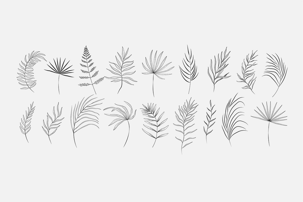 Tropical collection, a Decorative Illustration by Merfin (Photo 6 of 10)