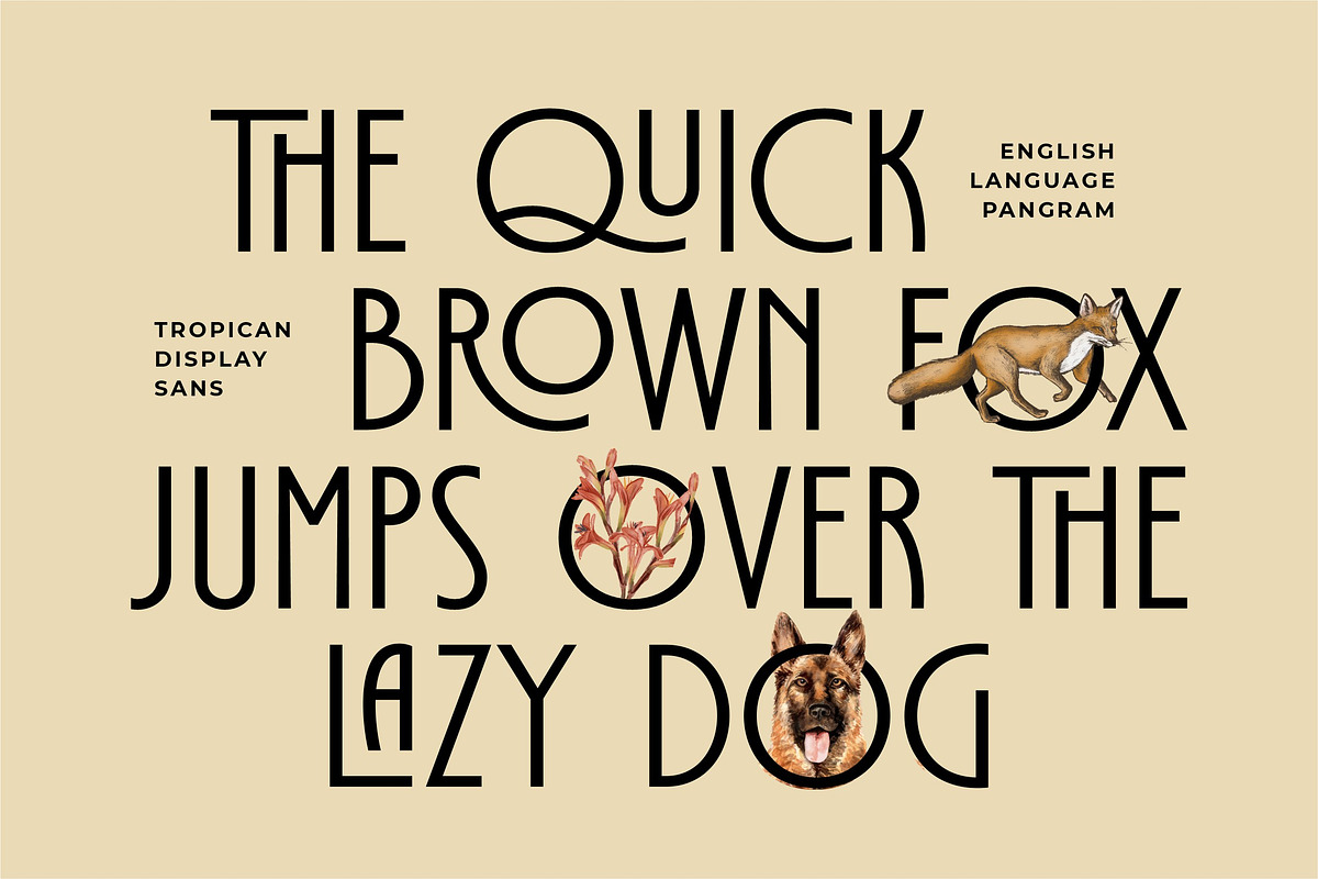 Tropican Display Sans, a Sans Serif Font by Letteralle Studios (Photo 4 of 10)