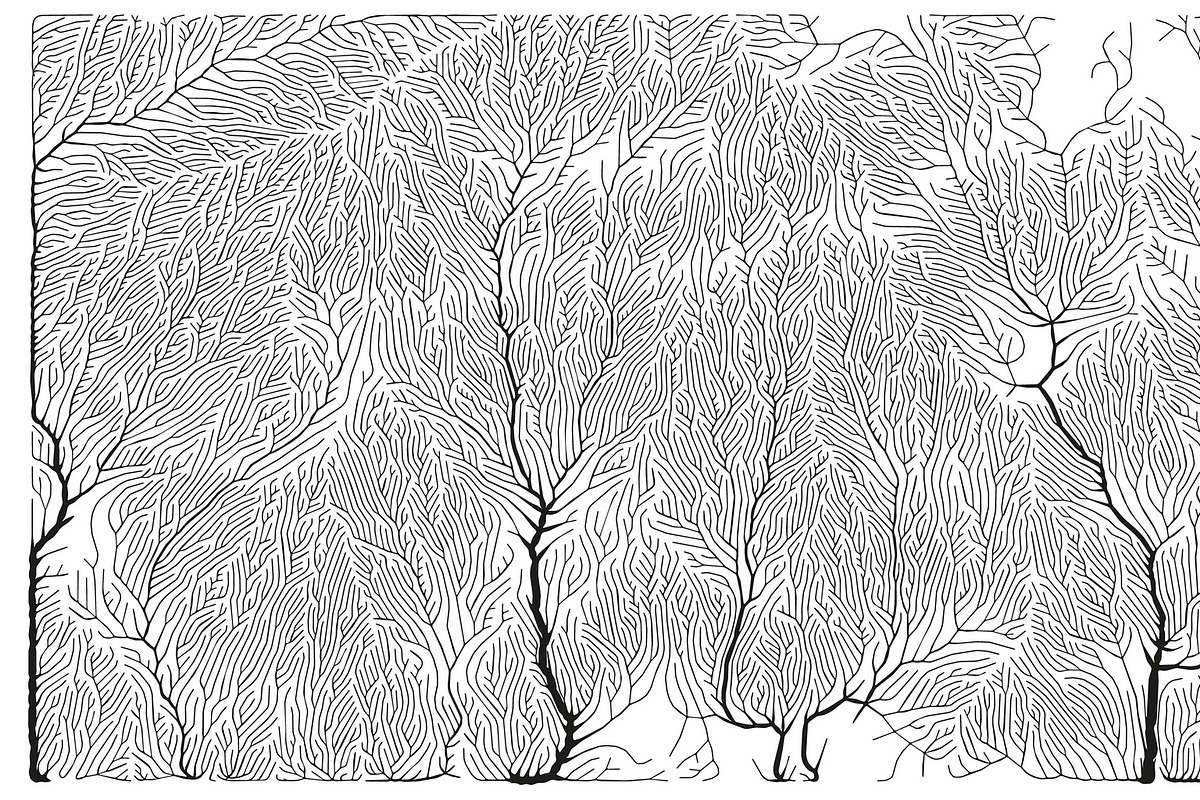 Growth - 50 Backgrounds, a Texture Graphic by GarryKillian (Photo 46 of 51)