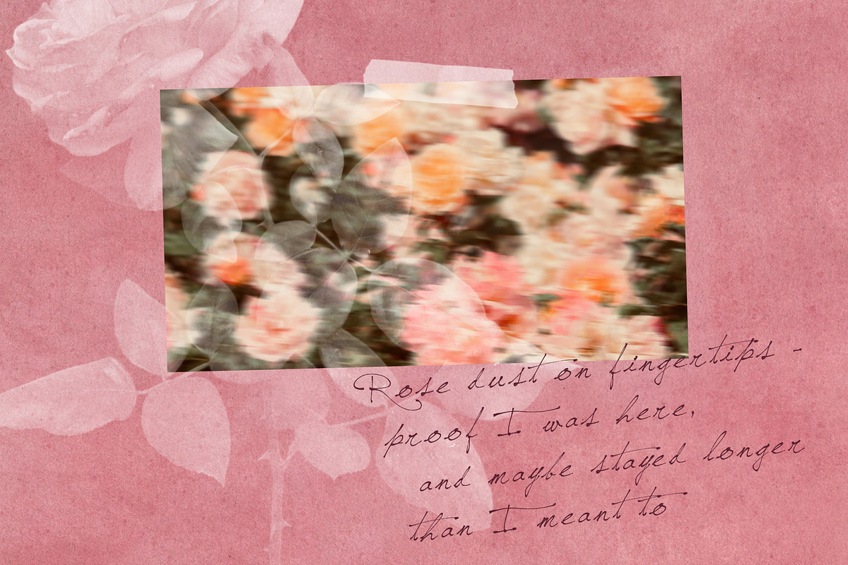 FloraRose: Botanical Backgrounds, a Background Graphic by alonahaidash (Photo 6 of 12)