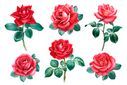 Red roses illustrations and patterns, a Texture Illustration by Sundra (Thumbnail 4 of 11)