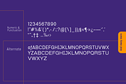 Esenka, a Sans Serif Font by Differentialtype (Thumbnail 8 of 12)