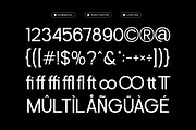 Perfect Corporate Sans Serif Family, a Sans Serif Font by Mahesans Co (Thumbnail 8 of 10)