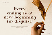 Lugife Elegant Serif, a Serif Font by Perfectype (Thumbnail 7 of 9)