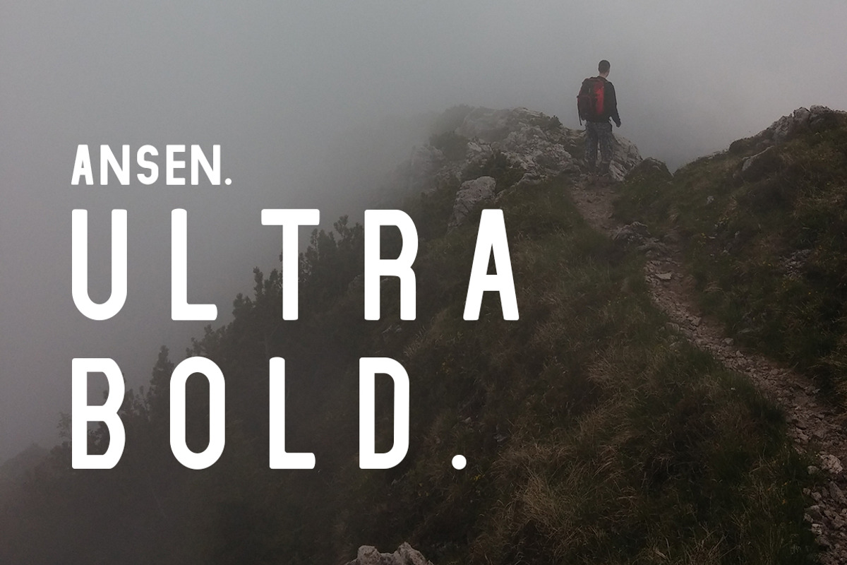 Ansen | An Adventurous Family, a Sans Serif Font by Zone 6 (Photo 11 of 13)