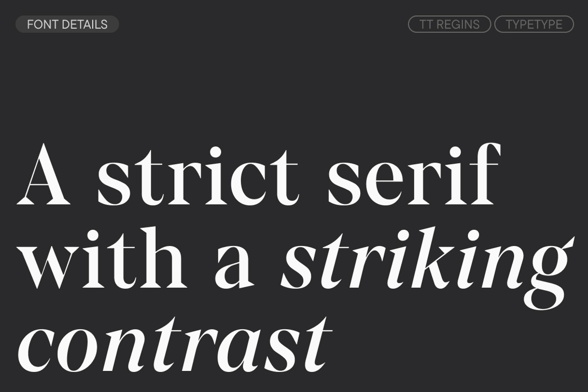 TT Regins, a Serif Font by TypeType (Photo 3 of 15)