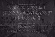 Charlie Brocklin - Stylish Ligature, a Script Font by Almarkhatype (Thumbnail 7 of 9)