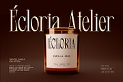 Dear Logical - Display Serif Font, a Serif Font by Matsero (Thumbnail 6 of 8)
