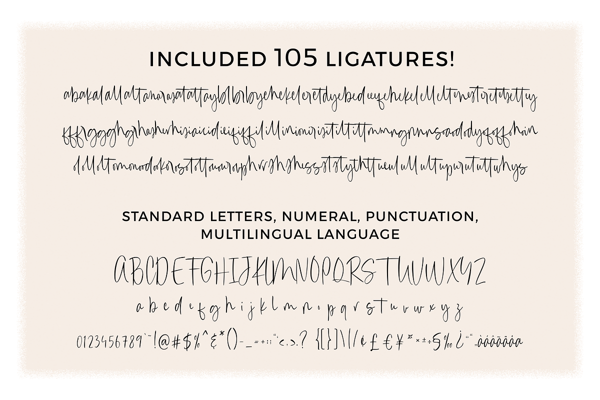 Canari – Modern Calligraphy Fonts, a Script Font by RedyStudio (Photo 12 of 13)