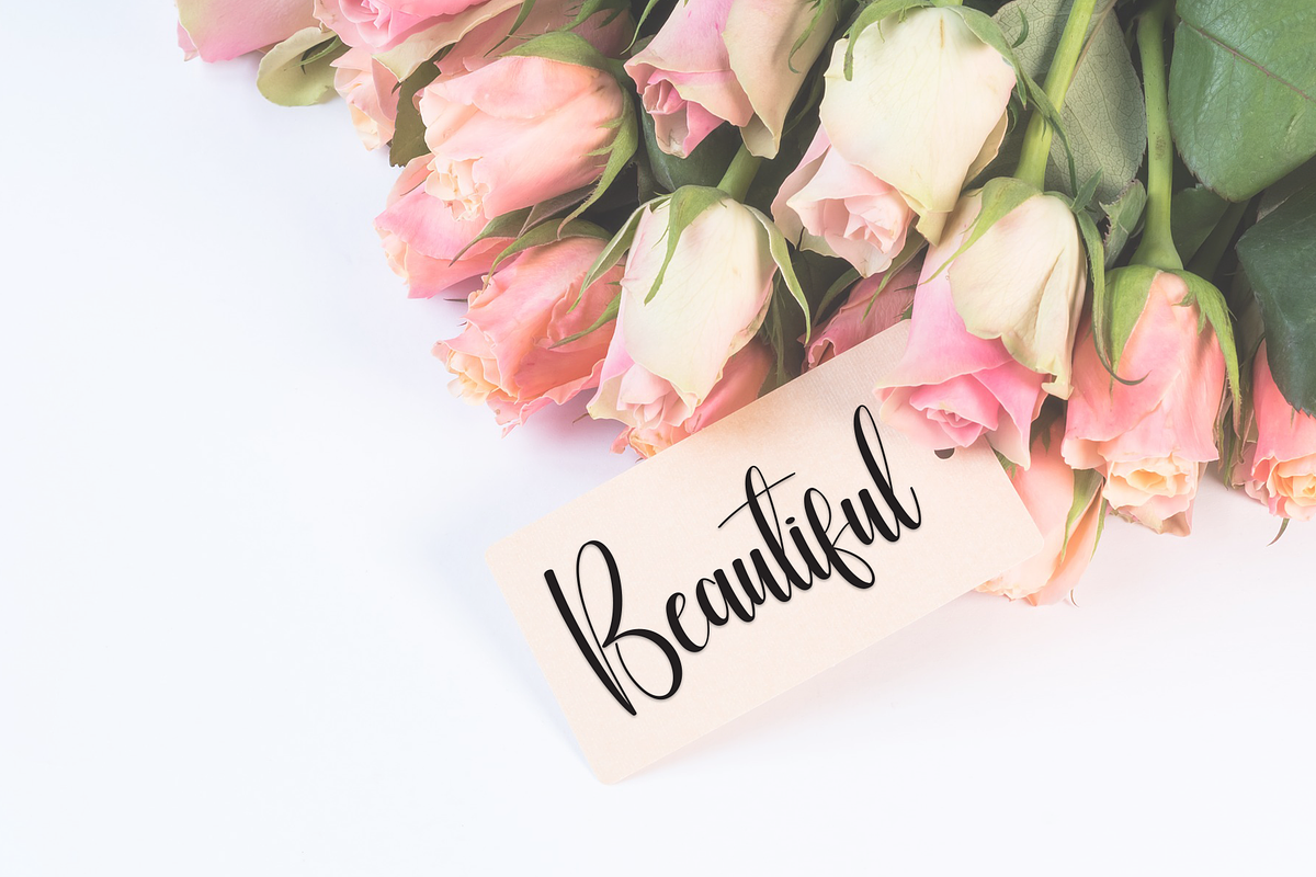 Vintage | Script Font, a Handwritten Font by Scratchones (Photo 3 of 9)