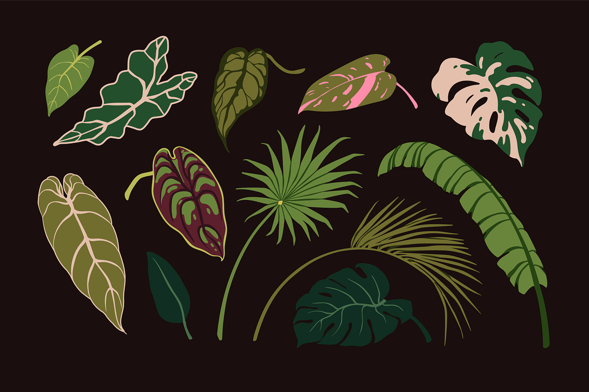 Exotic leaves. Green leaf plants set, a Decorative Illustration by Good Studio (Photo 6 of 10)