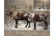 Reindeer PNG Overlays, an Object Graphic by Wild Honey Design Co. (Thumbnail 1 of 7)