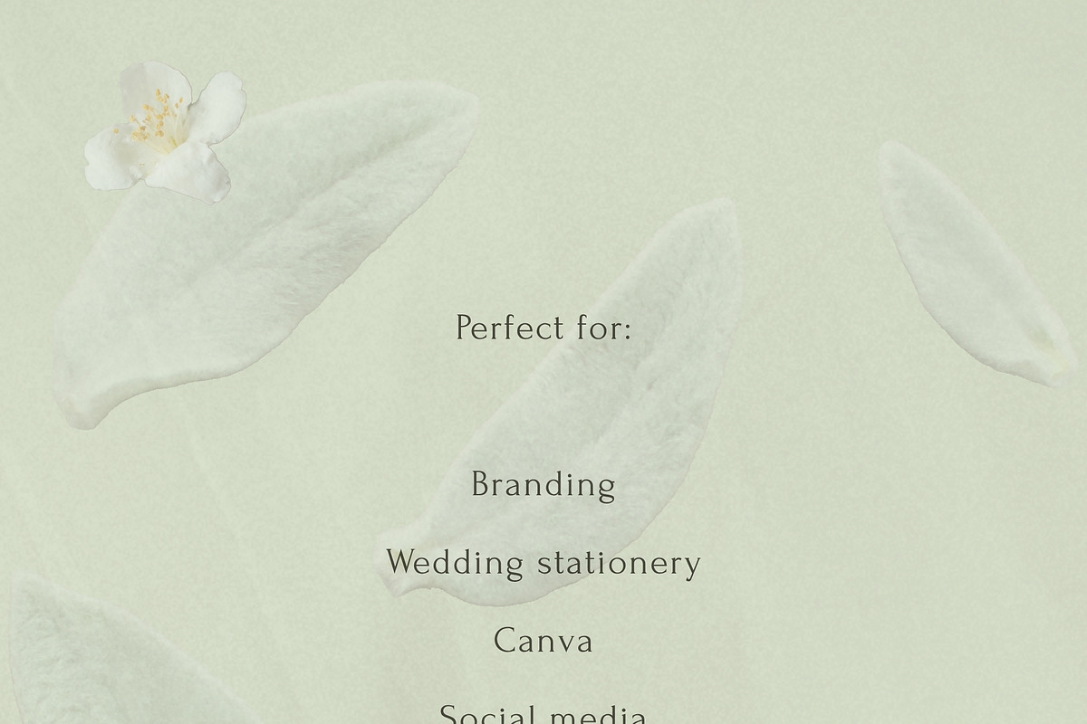 Petals Botanical Overlay Kit & Paper, an Object Graphic by Allure Art (Photo 22 of 22)