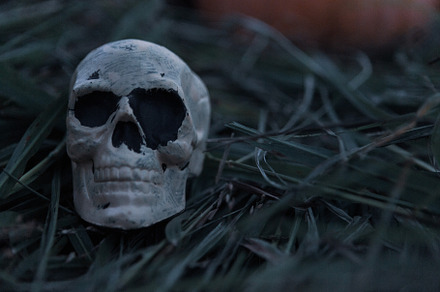 Scary skeleton skull in grass fall stock photo containing abandoned and chilly