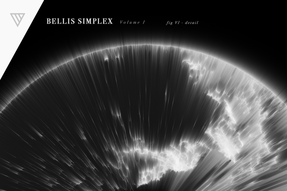 Bellis Simplex, a Pattern Graphic by Vidanoise (Photo 3 of 7)