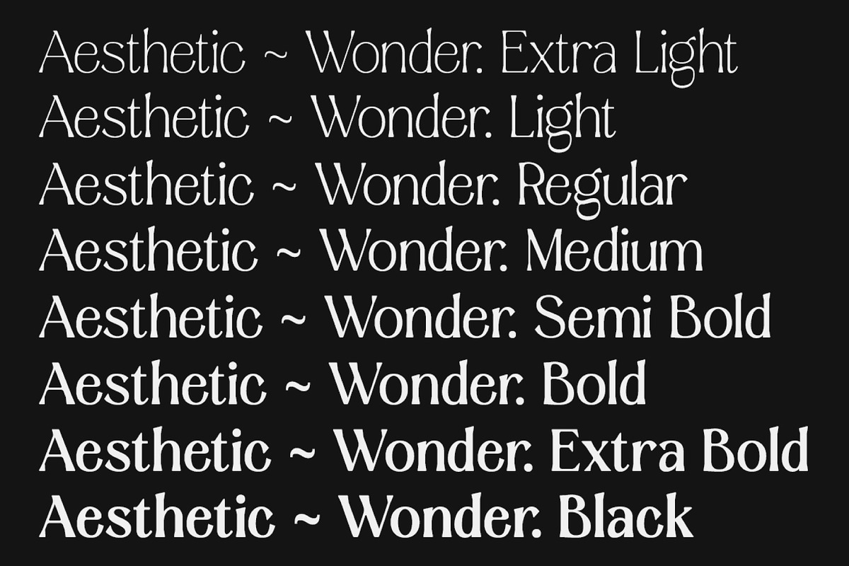 Aesthetic Wonder - Modern Aesthetic, a Serif Font by Prioritype Co (Photo 6 of 20)