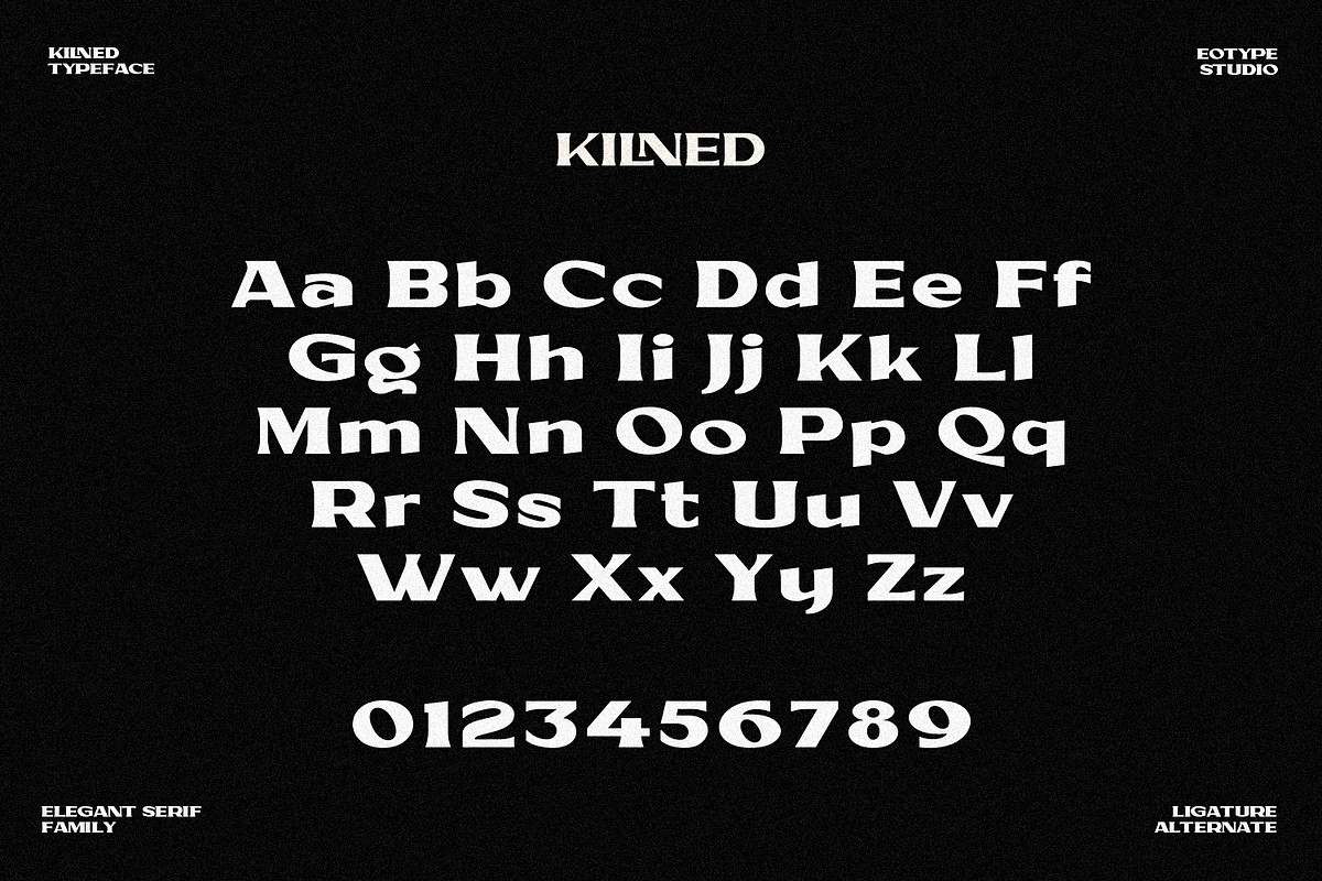 Kilned - Extended serif family, a Font by Eotype Studio (Photo 7 of 11)