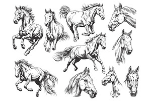 Sketch horses set. Wild horse, an Animal Illustration by Stock-Smart-Start