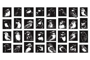 Various Birds Portraits In Squares, an Illustration by LadadikArt