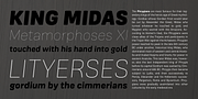 Frygia, a Sans Serif Font by Stawix (Thumbnail 2 of 8)