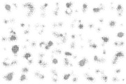80 Organic Halftone Shapes Bundle, a Texture Graphic by sivVector (Thumbnail 2 of 3)
