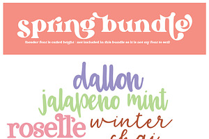 2024 spring bundle - 6 fonts