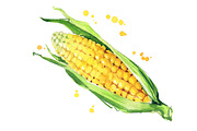 Set of yellow foods, watercolor, a Food Illustration by Kamenuka (Thumbnail 2 of 4)