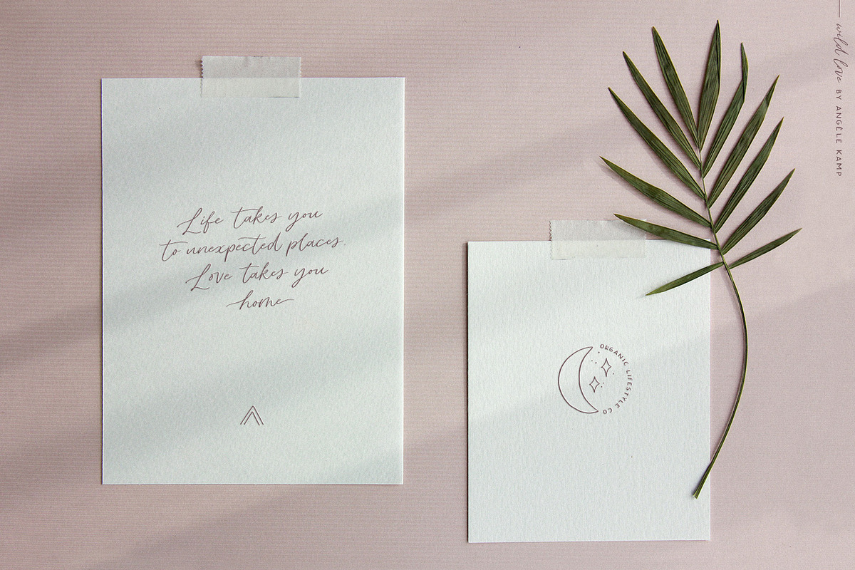 Script font Wild Love logos, a Script Font by Angele Kamp (Photo 10 of 15)
