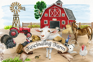 Fascinating Farm Illustrations