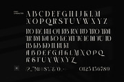 Camera Modern Serif Font, a Serif Font by Perfectype (Thumbnail 8 of 8)